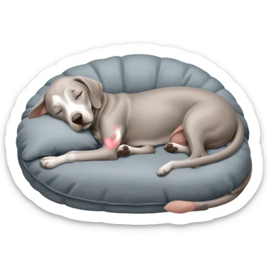 Weimaraner sleeping sticker