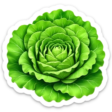Cinematic crisp green lettuce, fresh and leafy, slightly curled edges, detailed textures, vibrant and refreshing, ultra-realistic and inviting. sticker