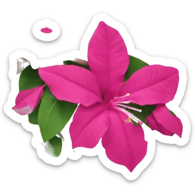 bougainvillea flower sticker