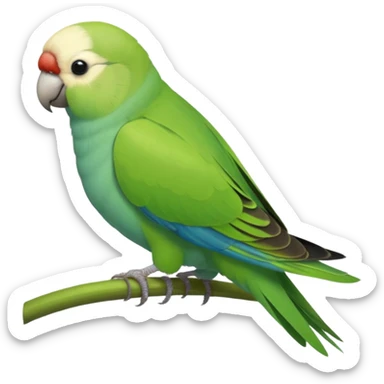 Green Quaker Parakeet sticker