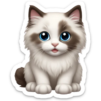 ragdoll kitten sticker