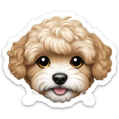 caramel brown maltipoo puppy sticker