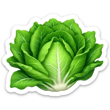 lettuce vegetable sticker
