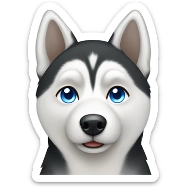 Black and white Husky with heterochromatic eyes blue and brown sticker