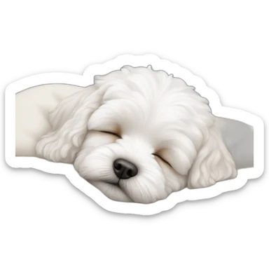 White maltipoo sleeping sticker