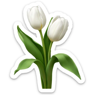 white tulips sticker