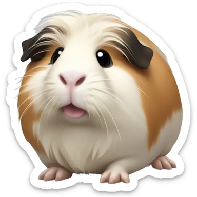 A gentle guinea pig with long, flowing tan and white fur, accented by dark patches around the face. sticker