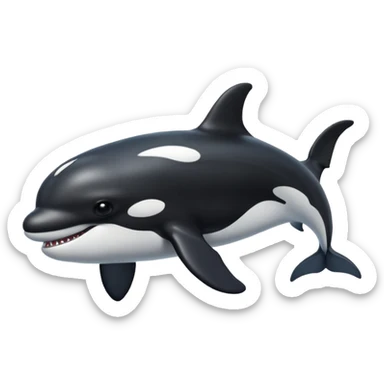 Killer whale  sticker