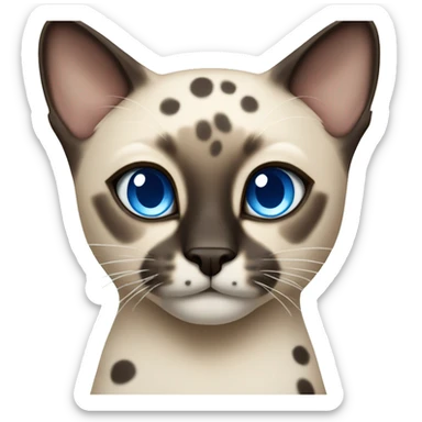 Siamese cat with blue eyes and spots like a leopard  sticker