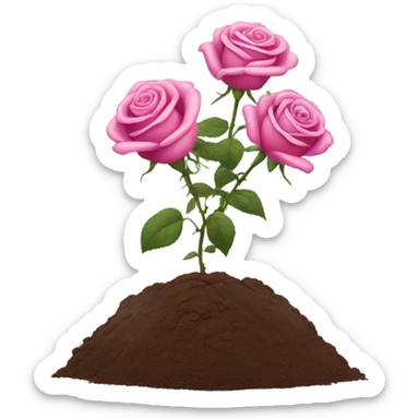 roses plant in ground  sticker