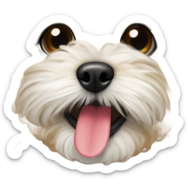 Maltepoo small dog holding a mexican gir sticker