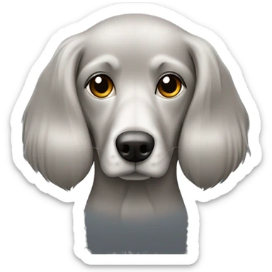 perro braco de weimar gris con perro jack tus del de pelo largo contentos uno al lado del otro  sticker