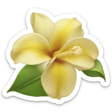 Flor de vainilla  sticker
