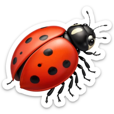 lady bug sticker