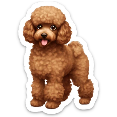 Dog poodle brown fluffy sticker