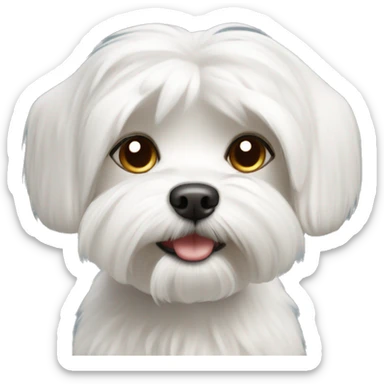 Maltese Dog Short Hair sticker