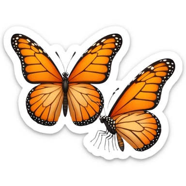 two orange butterflies  sticker