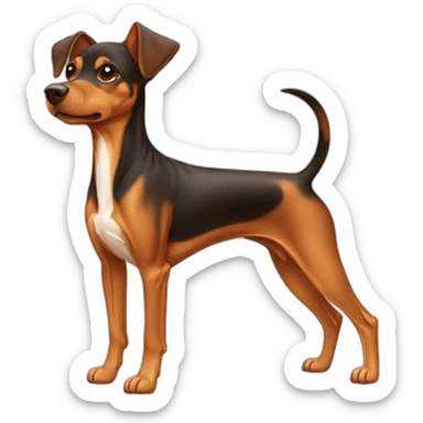 cachorro pinscher caramelo jogador de basquete sticker