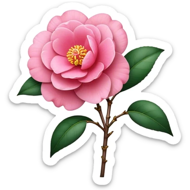 single pink Camellia flower, stem sticker