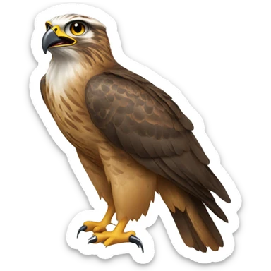Hawk with binoculars  sticker
