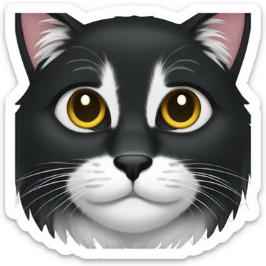 black cat long hair cat with black and white muzzle sticker