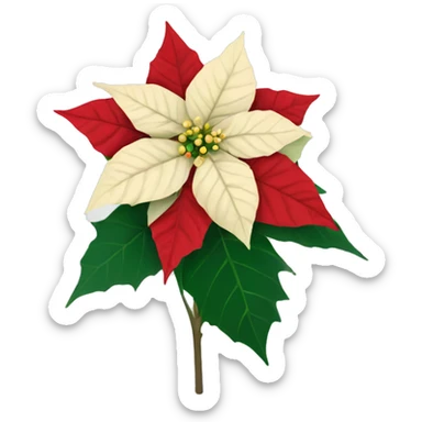 Poinsettia flower sticker
