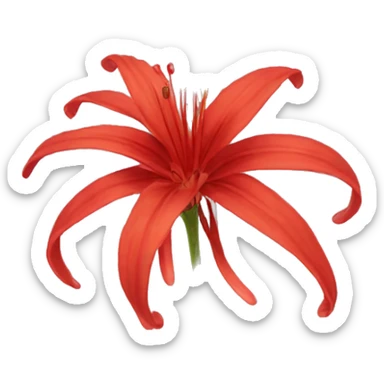 red spider lily flower sticker