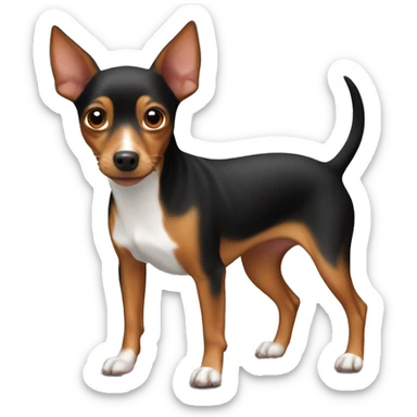 red miniature pinscher rat terrier mix sticker