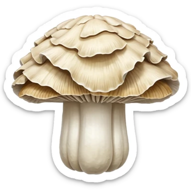 Oyster mushroom sticker