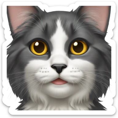 Long haired tuxedo cat with black nose sticker