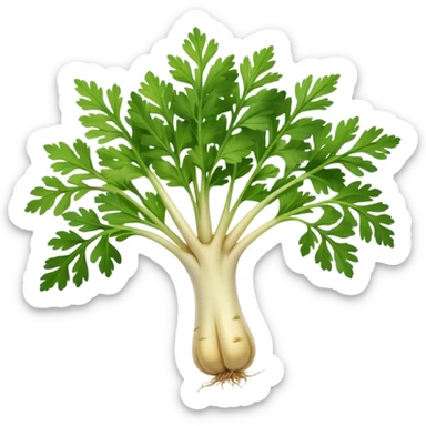 Parsley Root sticker