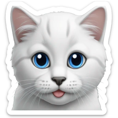 Cat british short haïr sort blue eyes  sticker