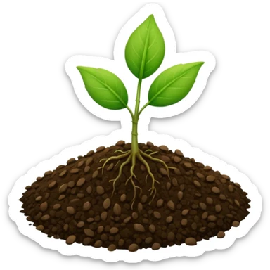 A tiny two leaf seedling coming out of a seed sticker