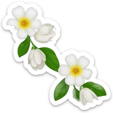 3 jasmins flowers with leafs sticker