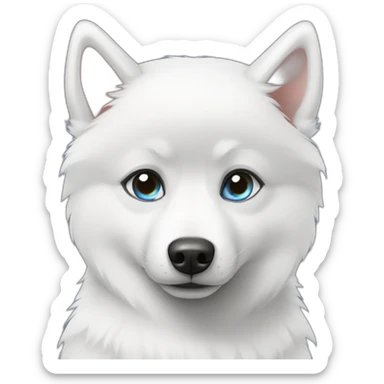 pomsky blue eyes sticker