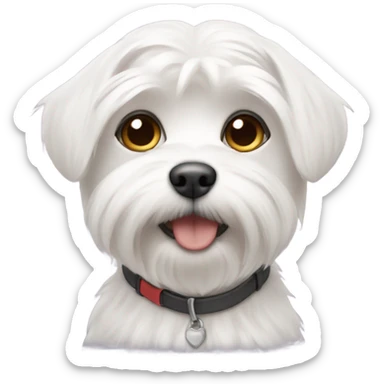 Maltese with short hair sticker