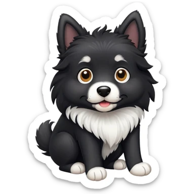  black dog with white paws and white chest sticker