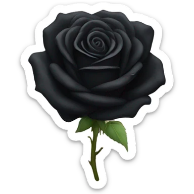 Black rose sticker