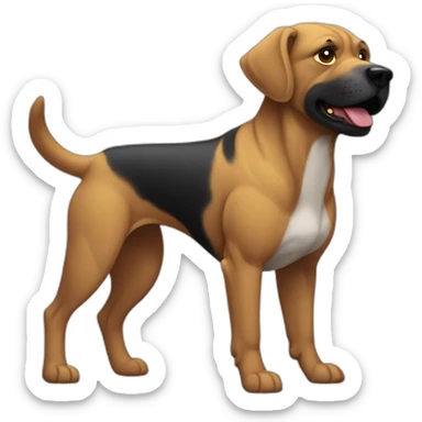 Un chien noir qui montre son corp musclé sticker