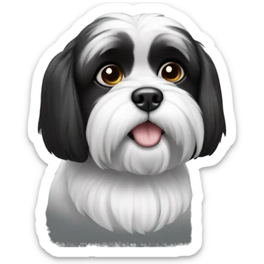 Black and white shitzu  sticker