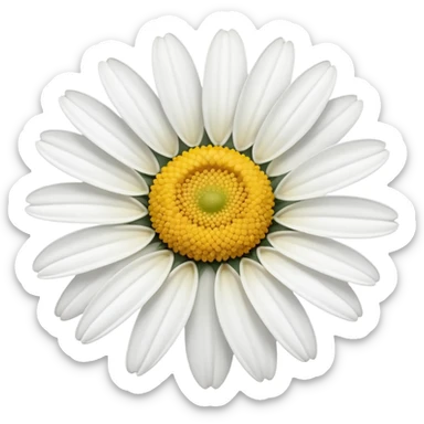 White daisy sticker
