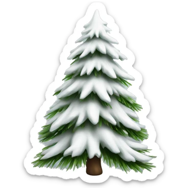  actual white fir christmas tree isolated.  sticker