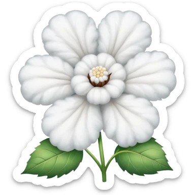 A flower of cotton sticker