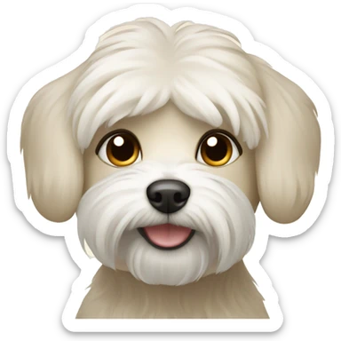 A beige Maltese dog sticker