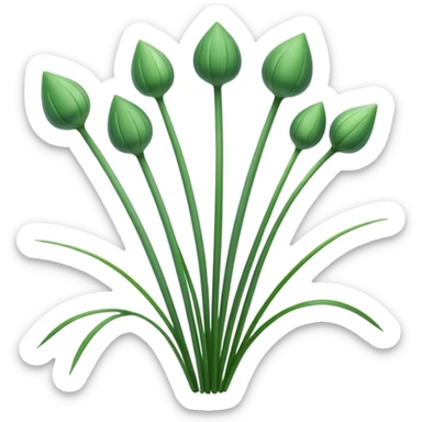 chives  sticker