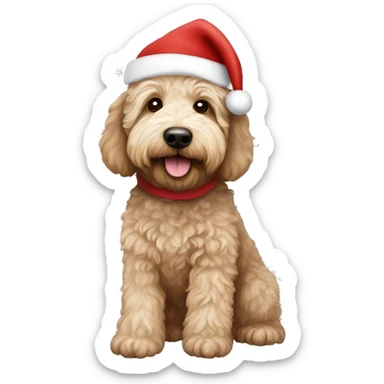 Australian Labradoodle wearing a Christmas sweat sweater and Santa hat sticker