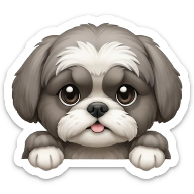 cute all grey shih tzu peeking through window blinds with one paw holding down the shade behind the shade sticker