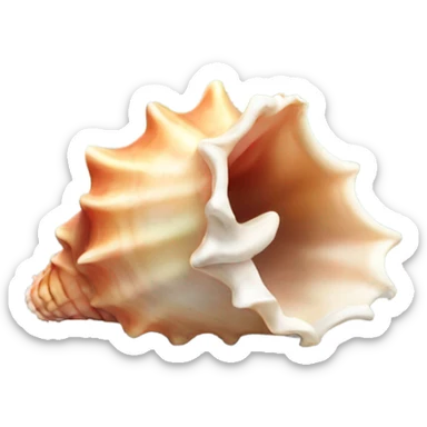 Conch shell sticker