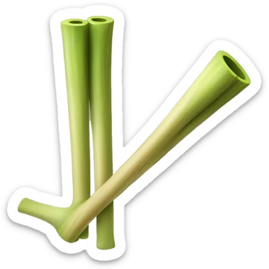 Guadua Cane. Its stems are cylindrical, hollow and segmented, with prominent nodes at each joint. The outer surface of the guadua cane is smooth and yellowish green, with longitudinal grooves that mark the separation between the segments. sticker