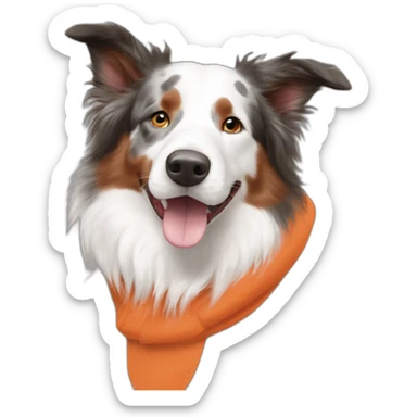 white speckled face red merle border collie in orange wheel chair sticker